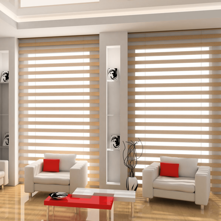 Zebra Blinds